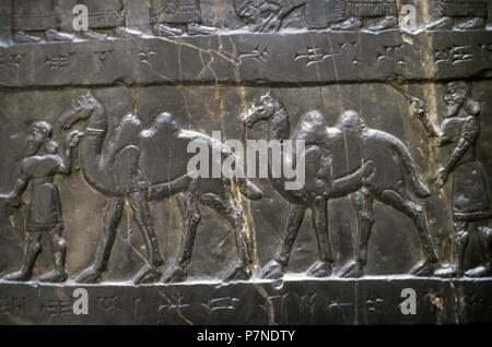 Schwarzer Obelisk von Salmanassar III. Kalkstein Assyrische Skulptur. Bas-Relief, 858-824 BC. Nimrud, Irak. Der Tribut der Jehu, der Sohn von Omri (alte Norden Israels). British Museum. London, Vereinigtes Königreich. Stockfoto