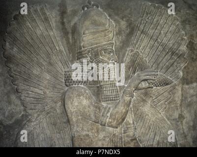 Schützende Genius, 8. Jahrhundert v. Chr. geflügelt. Relief, Detail. Palast von Sargon II. von Assyrien. Khorsabad, Irak. Louvre Museum. Paris, Frankreich. Stockfoto