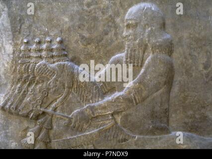 Knecht, die Pflege der Pferde. 8. Jahrhundert v. Chr.. Relief, Detail. Palast von Sargon II. von Assyrien. Khorsabad, Irak. Louvre Museum. Paris, Frankreich. Stockfoto