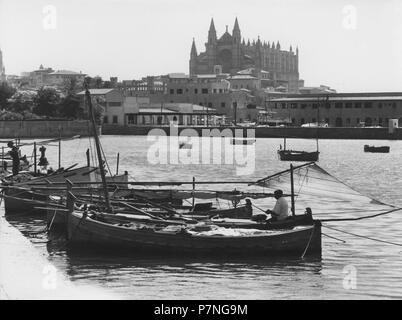 Islas Baleares. Vista de la Ciudad de Palma de Mallorca desde el puerto. Barcas de Pesca y la Catedral. Años 1950. Stockfoto