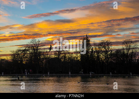 See innerhalb des Parque del Buen Retiro Park der angenehmen Rückzugsort" in Madrid, Spanien Stockfoto