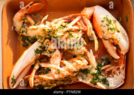 Ein gekochtes, gekochte Hummer Homarus gammarus, vom Englischen Kanal, die in einem Topf gefangen wurde. Der Hummer wurde aufgeteilt nach dem Kochen und driz Stockfoto