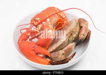 Ein gekochtes, gekochte Hummer Homarus gammarus, gekochte, gekochte Taschenkrebse, Cancer pagurus, vom Englischen Kanal, die in einem Topf gefangen wurden. Stockfoto