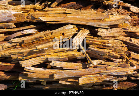 Textur der Moldering Holz anmelden. Alte grungy und verwitterte braune Holz- oberfläche Hintergrund Stockfoto