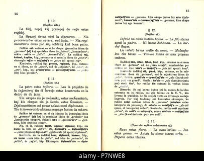 Esperanto: Fundamentaj Reguloj de la Vort-teorio de Esperanto. 1915 6 1915 teorio Vort - 14./15. Stockfoto