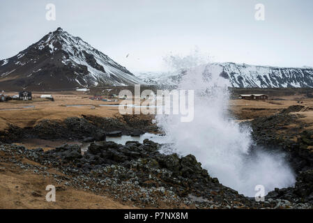 Wasser aus Blasloch, Arnarstapi, Western Region, Island Stockfoto