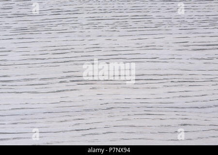 Holzmaserung detaillierte Textur muster Hintergrund in hellem weiß Gr Stockfoto
