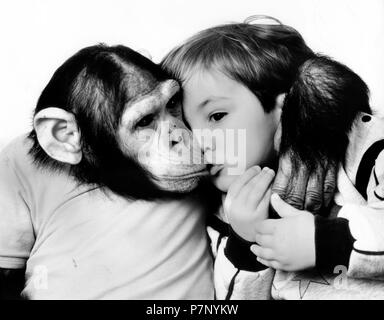 Schimpanse Küsse und Umarmungen little boy, England, Großbritannien Stockfoto