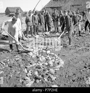 Ca. 1939,1941, Ausbildung Wehrmacht, Ulm, Deutschland Stockfoto