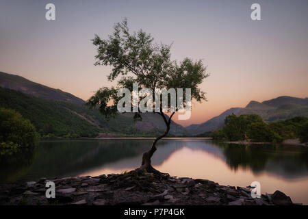 Snowdonia National Park im Norden von Wales im Juni 2018 getroffen Stockfoto