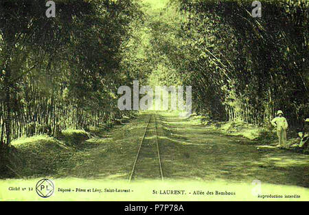 315 PL Allée des Bambous à Saint-Laurent-de-Maroni Stockfoto