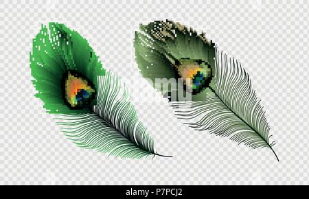 Vektor Illustration stellen Sie realistische Pfauenfeder auf einer transparenten karierten Hintergrund isoliert. EPS 10. Stock Vektor