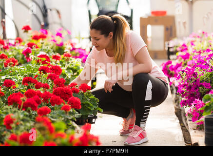 Junge und hübsche Floristen Frau arbeiten mit blühenden Blumen im Gewächshaus Stockfoto