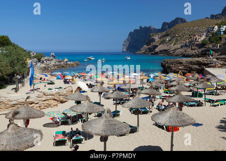 Aussicht auf den Strand von Cala San Vincente im Sommer Stockfoto