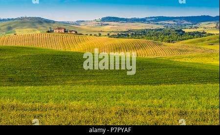 Beeindruckenden toskanischen Landschaft mit Feldern und Hügeln Stockfoto