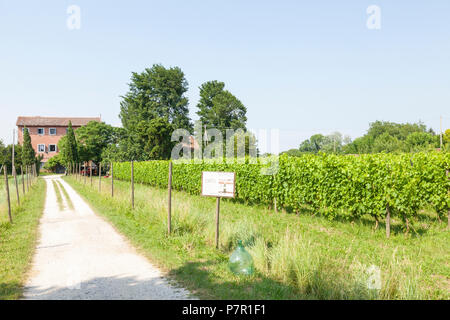 Orto Weingut Sant'Erasmo Insel in der Lagune von Venedig, Venedig, Italien mit dem Bauernhaus und Weinberge. Stockfoto