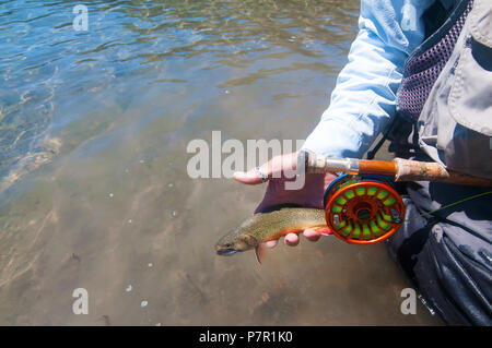 Viele der kleinen Seen in den Mammoth Lakes Region bieten ausgezeichnete Angelmöglichkeiten für bunte Bachforelle als dieses Handbuch zeigt. Stockfoto