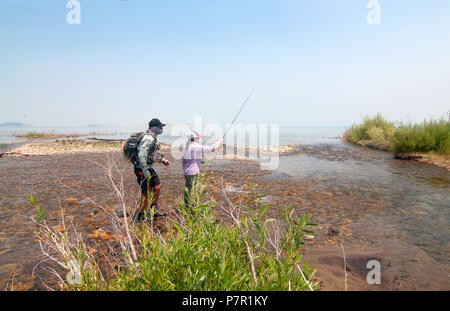 Mono Lake Creek können gute Angelmöglichkeiten für die Regenbogenforelle, die Fütterung auf einige der Brine Shrimp in der Nähe seiner Mündung werden kann. Stockfoto