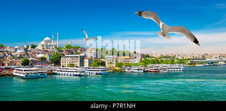 Touristischen Boote in der Bucht Goldenes Horn in Istanbul und Blick auf die Süleymaniye-Moschee, Türkei Stockfoto