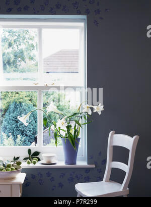 Vase mit weißen Lilien auf der Fensterbank über einem einfachen, weiß gestrichenen Stuhl in einem blauen Wirtschaft Speisesaal Stockfoto