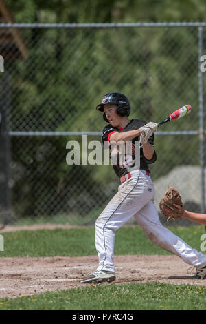 Batter schwingen auf Baseball, Jungen Nachmittag junior Baseball Spiel. Cranbrook, BC. Stockfoto