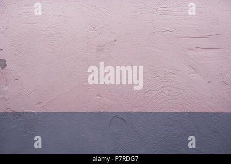 Rosa mit grauen Beton Wand als Hintergrund. Stockfoto