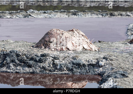 Salinen, Stapel der abgebaute Salz aus den Salinen in einem Kratersee im Queen Elizabeth National Park, Uganda, Ostafrika Stockfoto