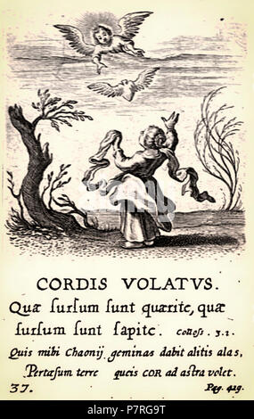 37. Cordis Volatus. Stockfoto