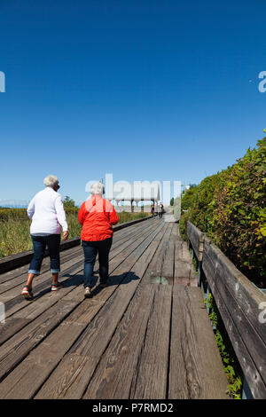 Menschen zu Fuß entlang der Holzsteg neben den Fraser River in Steveston, British Columbia. Stockfoto