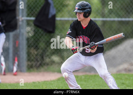 Teig fertig, bunt Baseball, Jungen Nachmittag junior Baseball Spiel. Cranbrook, BC. Stockfoto