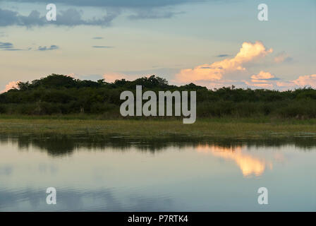 Sonnenuntergang irgendwo in Calakmul Biosphärenreservat, Halbinsel Yucatan, Campeche, Mexiko. Stockfoto