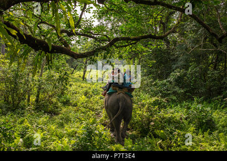 Jaldapara, Indien - 5. Mai 2017: Jaldapara Jaldapara Elephant Safari im Nationalpark. Stockfoto