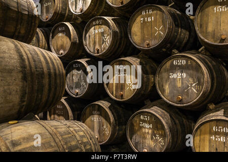 Reihe von Holz- Porto Weinfässer im Weinkeller von Porto, Portugal. Stockfoto