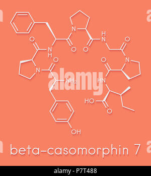 Beta-casomorphin Peptid 7 Molekül. Aufschlüsselung Produkt von Kasein, die eine Rolle in der menschlichen Krankheiten spielen können. Skelettmuskulatur Formel. Stockfoto