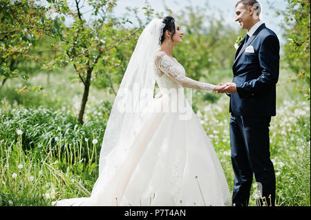 Fantastische Hochzeit paar ihre Zeit draußen im Garten an einem besonderen Tag. Stockfoto