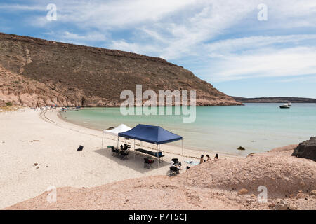 Strand auf der Isla Expiritu Santo, Mexiko Stockfoto