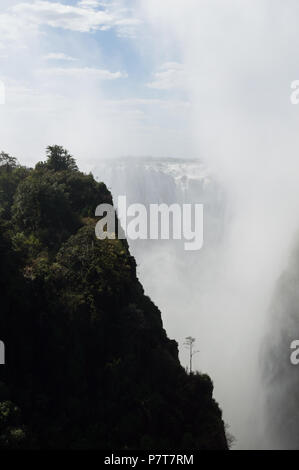 Victoria Falls mit einsamer Baum gesehen von der Victoria Falls Bridge Stockfoto