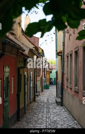 Goldene Gasse auf der Prager Burg Stockfoto