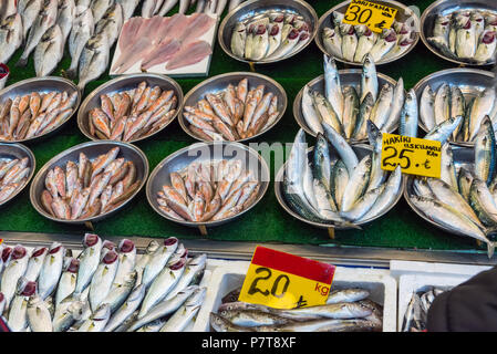 Fisch, der für den Verkauf in kleinen Schälchen auf einem Markt in Istanbul, Türkei gesehen Stockfoto