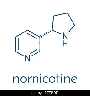 Nornicotine-Alkaloid-Molekül. Im Zusammenhang mit Nikotin und auch bei Nicotiana Pflanzen. Skelettformel. Stock Vektor