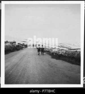 Persien, Hamadan: Landstraße (Lokalisierung unsicher); Landstraße mit Fussgängern, Felder und im Hintergrund schneebedeckte Berglandschaft. Von 1933 bis 1934 77 CH-NB-Persien, Hamadan - Landstraße (Lokalisierung unsicher) - Annemarie Schwarzenbach - SLA-Schwarzenbach-A -5-04-005 Stockfoto