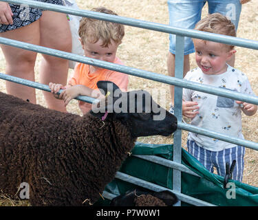 Cheshire, Großbritannien. 7. Juli 2018. Ihre elfte fete Veranstaltungen auf dem Feld, wo Hunderte von Menschen trotzten der Hitzewelle und vergnügten sich Credit: John Hopkins/Alamy Leben Nachrichten gehalten Stockfoto