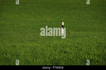 Deutschland, Schongau. 7. Juli 2018. Eine Straße delineator kann in der Mitte ein grünes Feld gesehen werden. Foto: Karl-Josef Hildenbrand/dpa/Alamy leben Nachrichten Stockfoto