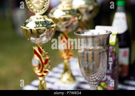 03 Juni 2018, Garßen, Deutschland: Der Royal Cup des Schießens Festival in Garßen in der Nähe von Celle, im Vorfeld fotografiert - auf die Verkündigung der Shooter Könige. Foto: Philipp von Ditfurth/dpa Stockfoto