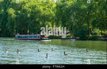 Themse, Hampton Wick, London, England, Vereinigtes Königreich, 8. Juli 2018. UK Wetter: Leute genießen, sich auf der Themse an einem Sonntag Morgen in der Hitzewelle. Ein Hausboot vorbei mit einem Schwarm Kanadagänse schwimmen im Wasser Stockfoto