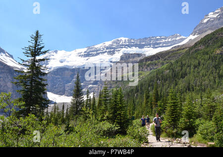 LAKE LOUISE, AB/KANADA - 26. JULI 2017: Touristen Wanderung auf der Ebene von sechs Gletscher Trail in der Nähe von Lake Louise. Stockfoto