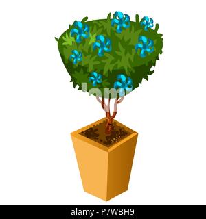 Bonsai mit blauen Blumen auf weißem Hintergrund. Vektor cartoon Close-up Abbildung. Stock Vektor