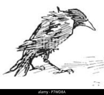 (Nach reusableart Anfrage gelöscht.). Datum unbekannt 47 Black Bird Skizze Stockfoto