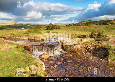 Ein Wasserfall an der Grimstone und Sortridge Gewaehrleistung am windigen Post auf Dartmoor National Park in der Nähe von Tavistock Stockfoto