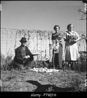 USA, Pine Mountain Valley/GA: Lehrwerk; ein Mann und zwei Frauen. Der Mann präsentiert Maiskolben, sterben Frauen Gemüse und Früchte. Von 1936 bis 1938 86 CH-NB-USA, Pine Mountain Valley-GA-Lehrwerk - Annemarie Schwarzenbach - SLA-Schwarzenbach-A -5-11-139 Stockfoto